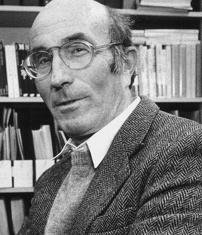 Niklas Luhmann e os Observadores